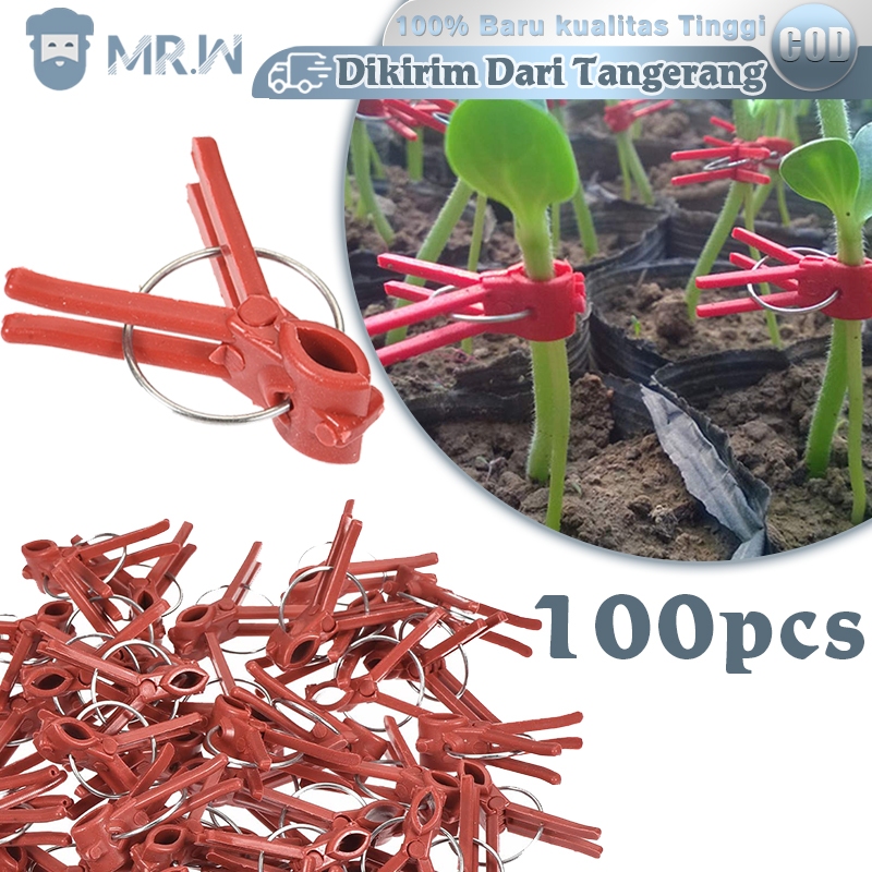 Grafting Klip Cangkok 100pcs Penjepit Sambungan Tanaman Grafting Clips Klip Okulasi