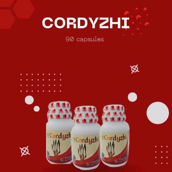 DXN Cordyzhi 90 paru paru , ginjal