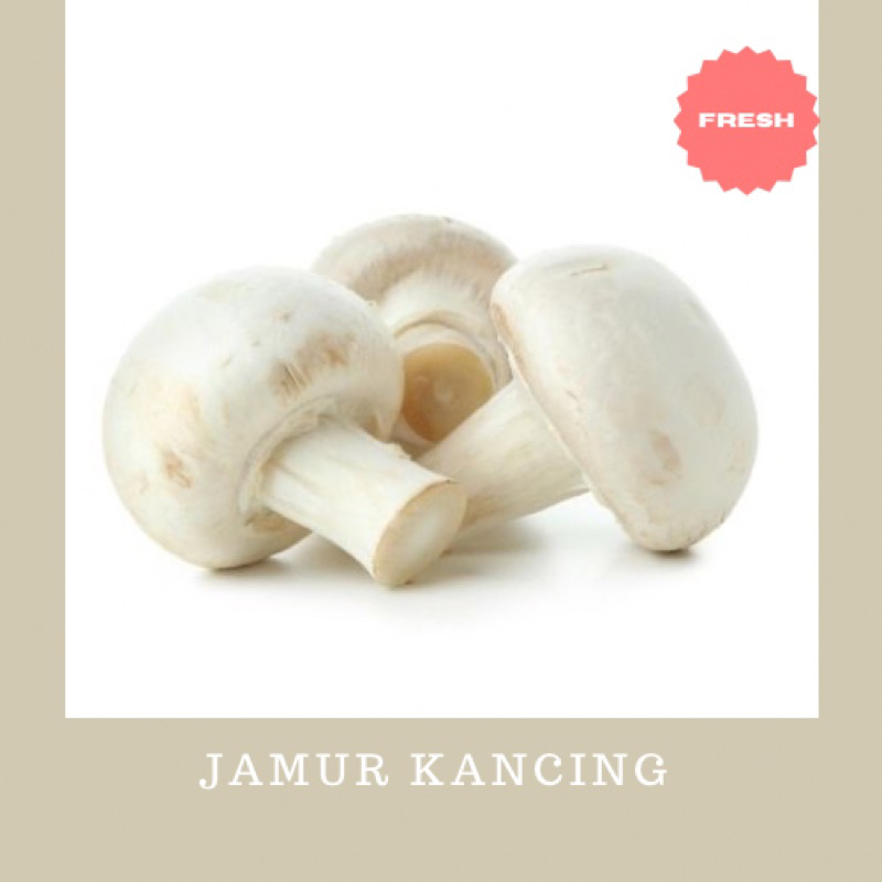 

Jamur Kancing Mushroom Fresh Vegetable 250 gram