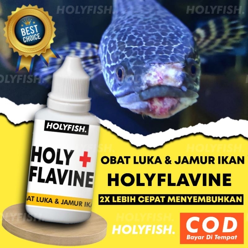 Obat Ikan HOLYFLAVINE Obat Luka Ikan Obat Jamur Ikan Obat Parasit Ikan