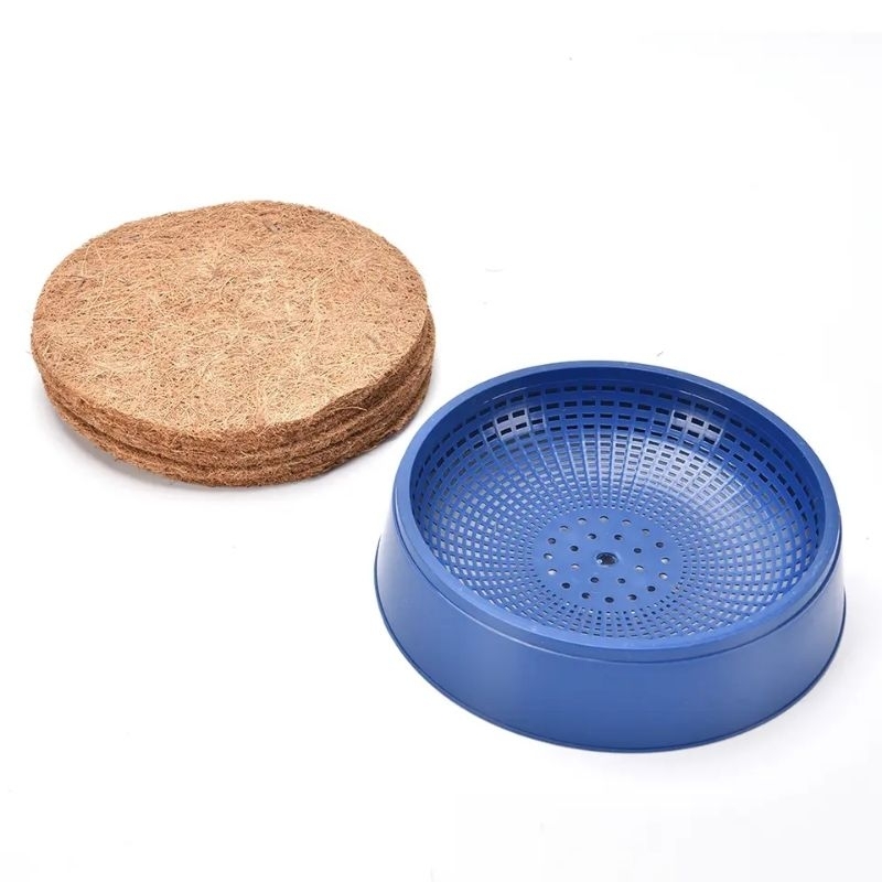 SARANG MENGERAM BURUNG MERPAT/AYAM