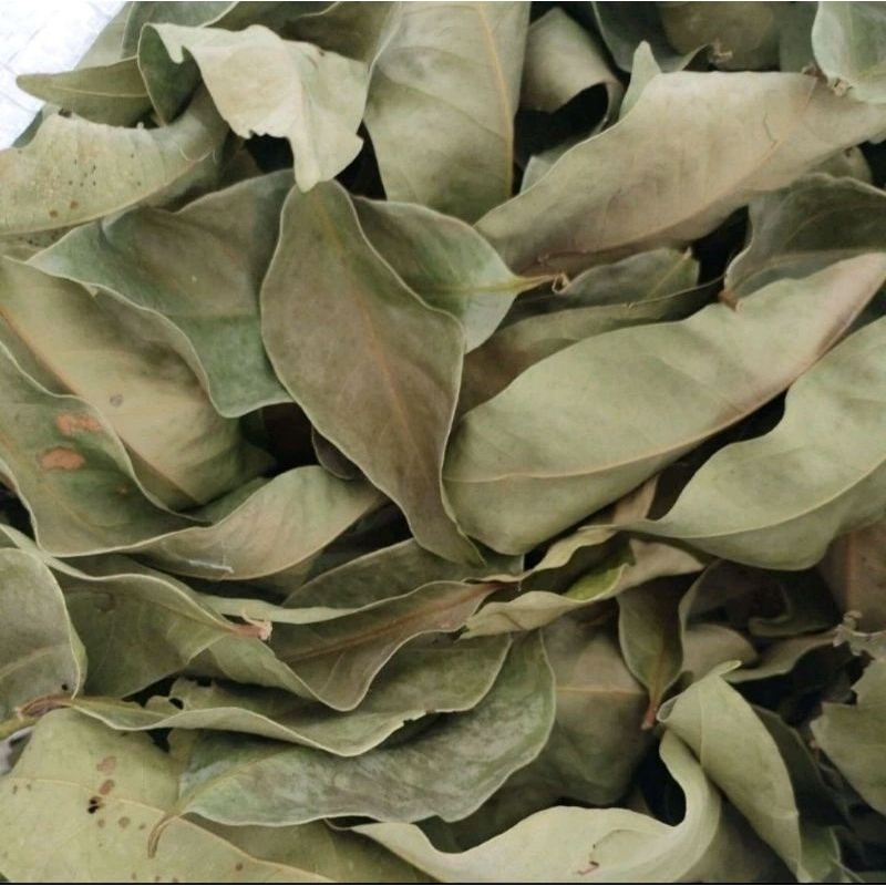 

Daun Salam Kering 20 gram/Daun Salam Kering/Daun Salam