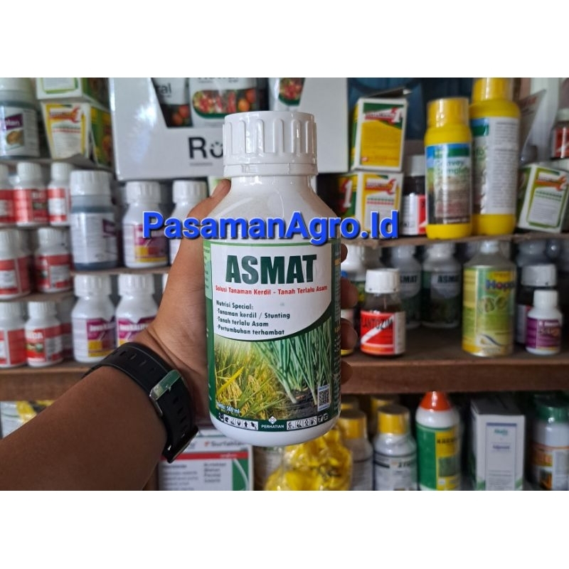 ASMAT NUTRISI TANAMAN KERDIL - 500 ML
