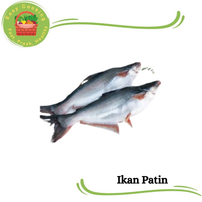 

Easycooking - Ikan patin Segar 500 gram