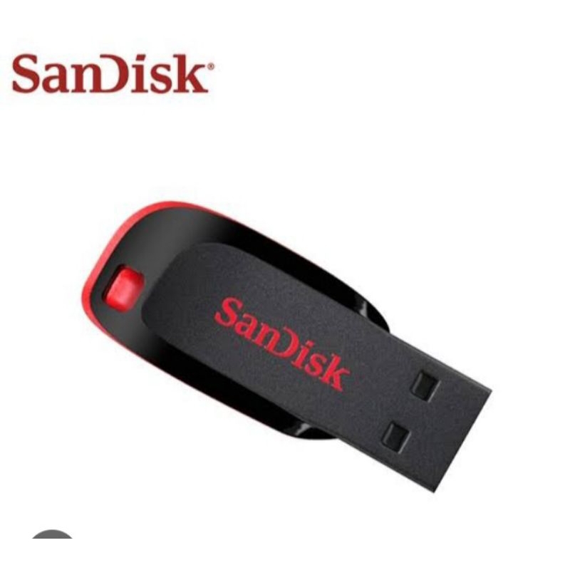 flashdisk sandisk 256 gb