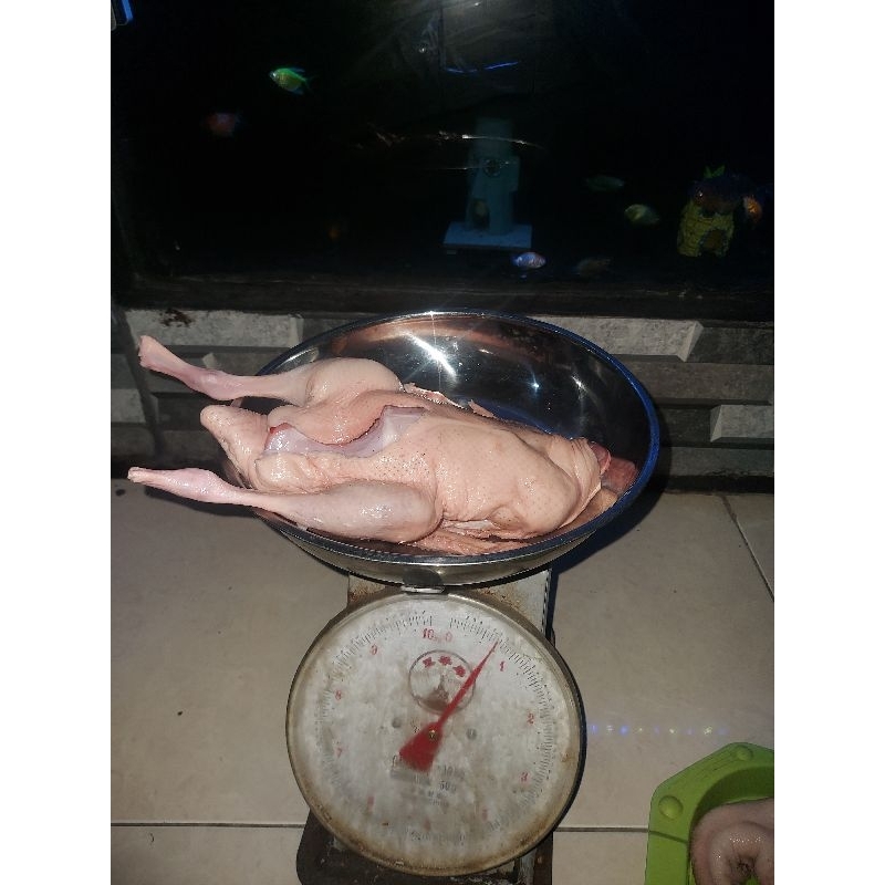 

bebek potong fresh