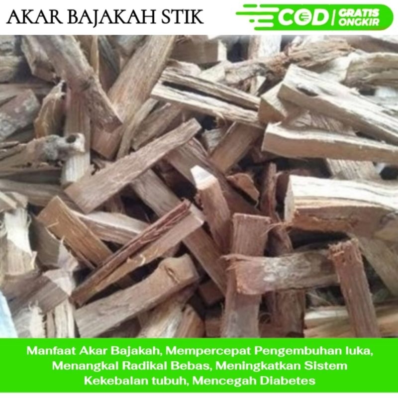

Akar Bajakah Stik Super 1Kg Obat Herbal Diabetes, Asam Urat, Asam Lambung, Sakit Kuning