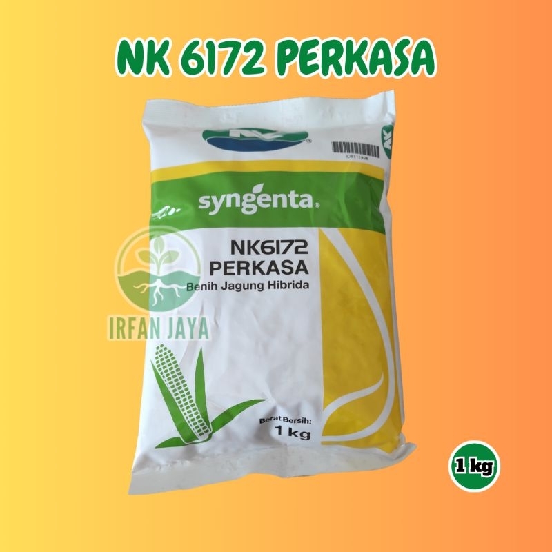 benih jagung NK 6172 perkasa 1kg Exp 05-25 - NK perkasa