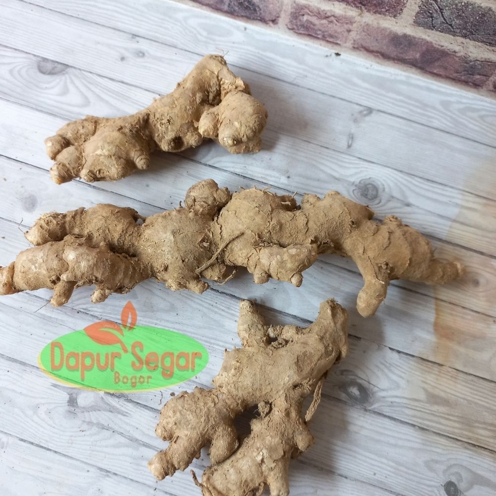 

Jahe Emprit 1kg JAWA SANGAT PEDAS