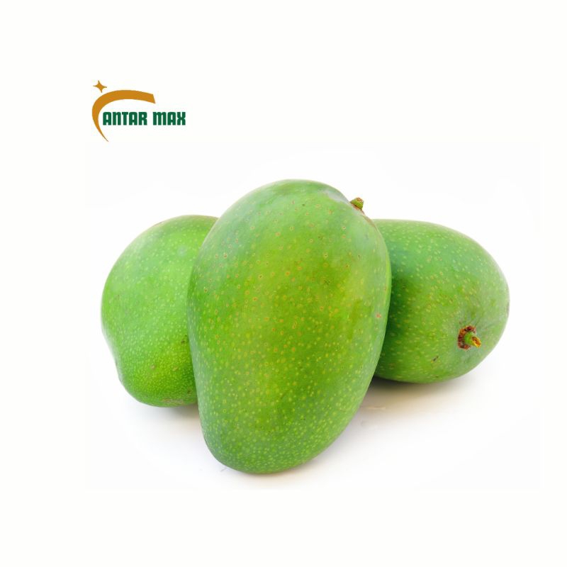 

Mangga Harum manis 1kg