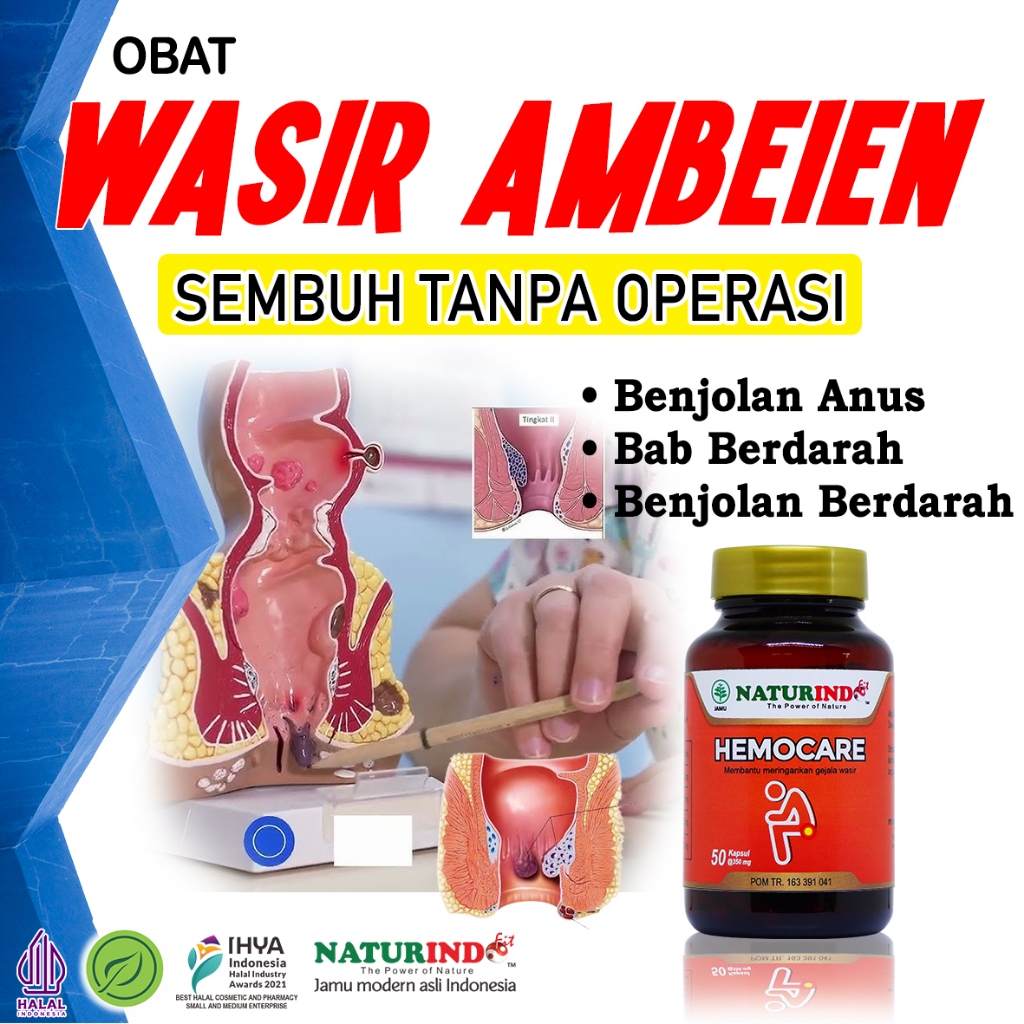 Obat Herbal Wasir Ambeien Paling Ampuh Bab Berdarah Hemocare Naturindo