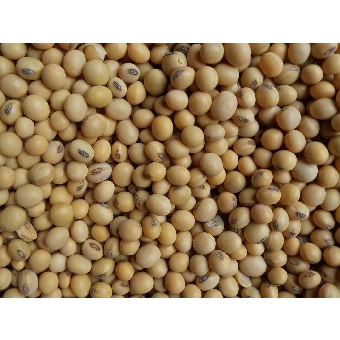 

KACANG KEDELAI KERING _ 250gr