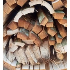 Bambu Petung superr original panjang 1 meter