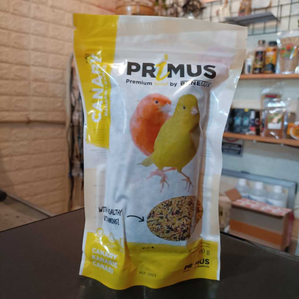 PRIMUS CANARY PREMIUM BENELUX PRIMUS KENARI PAKAN KENARI IMPORT