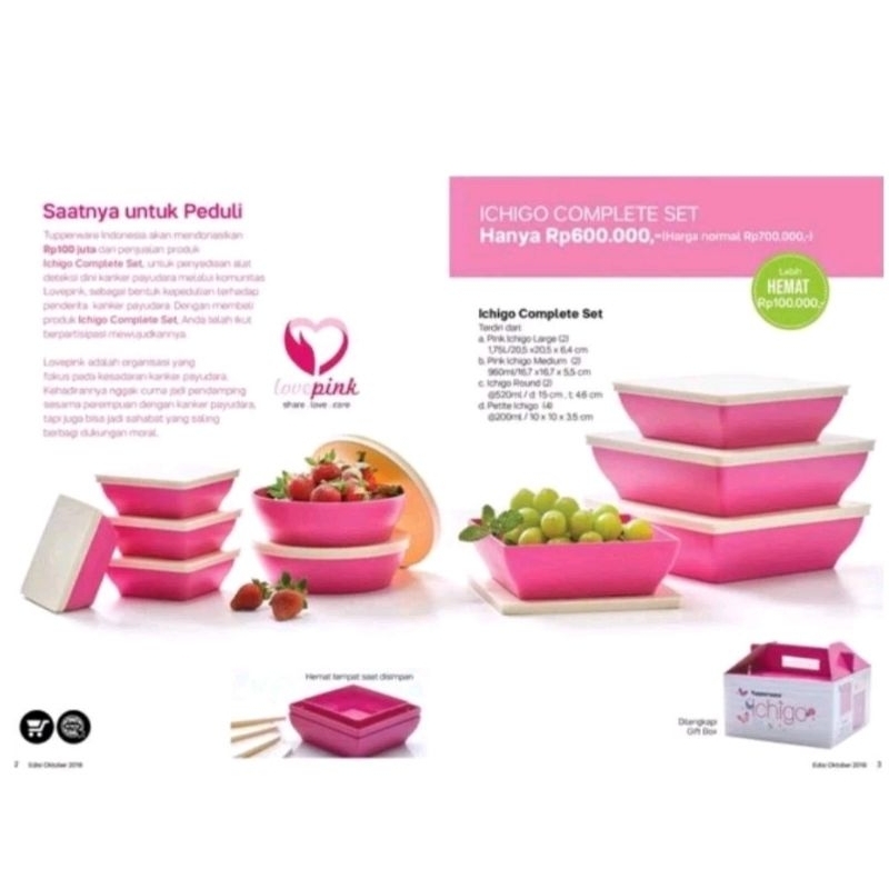 TUPPERWARE ICHIGO COMPLETE SET / KOTAKAN PINK