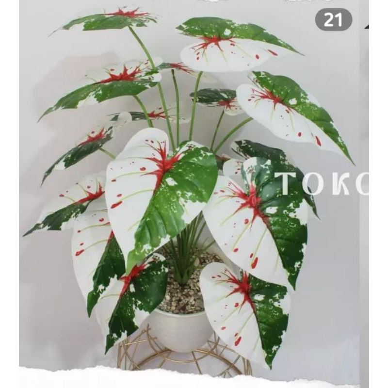 keladi 18 daun jumbo / keladi plastik / tanaman hias / bunga artificial / keladi putih caladium love