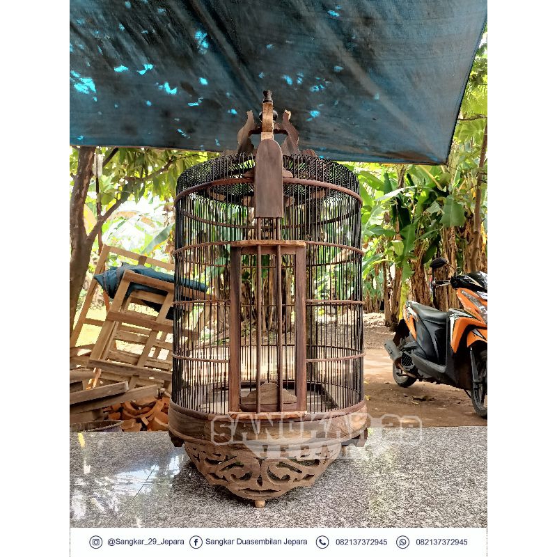 Sangkar burung Anis merah Sono keling bulat mentah