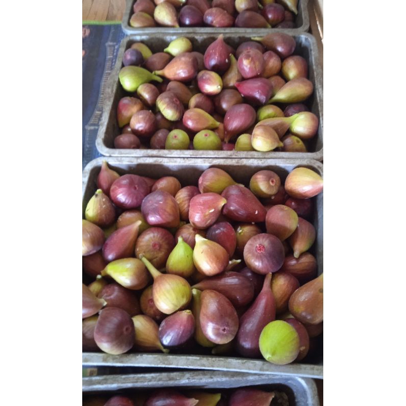

buah tin fresh 150grm