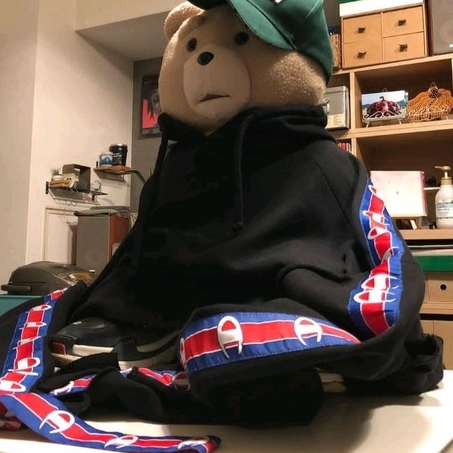 Vetements x champion Hoodie in progres jaket