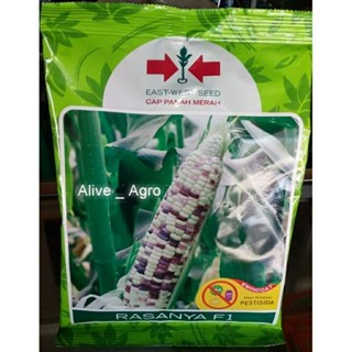 Jagung Manis Pulut Rasanya F1 250 gr