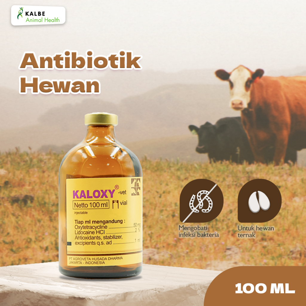 Kaloxy-Vet 100 ml - Antibiotik Hewan