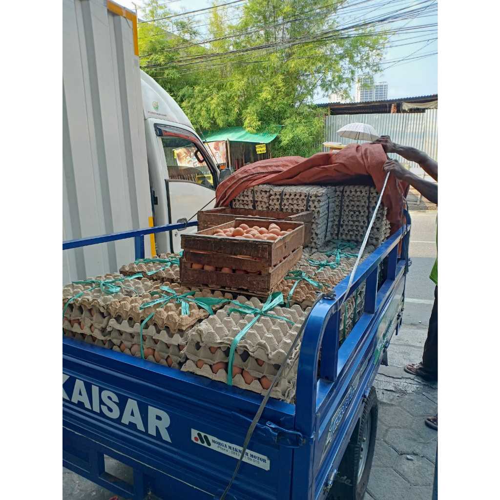

IO Telur Bebek Asin Mentah Paket Isi 10 HENMART