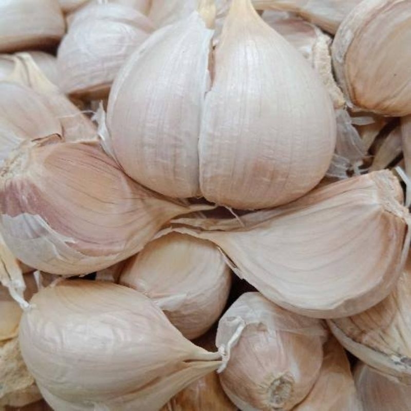 

Bawang Putih Kating Besar bersih 1 kg