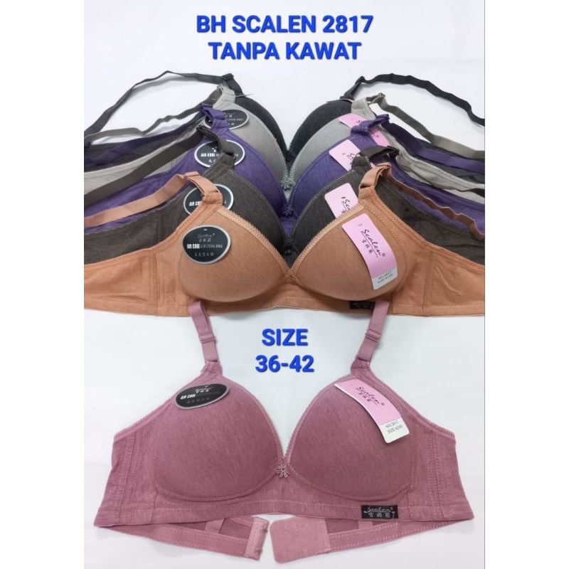 Bh Bra Scalen 2817 Kaos Cup Besar Cup B Busa Tipis Tanpa Kawat 36-42