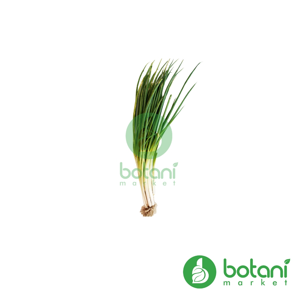 

Daun Bawang Lokal / Spring Onion 1 ikat - 250 GR [BJB - KALSEL] *INSTANT ALLOWED*
