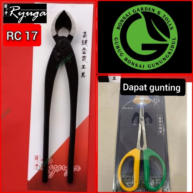 krekut catok bonsai RYUGA RC 17 miring carbon 28 cm