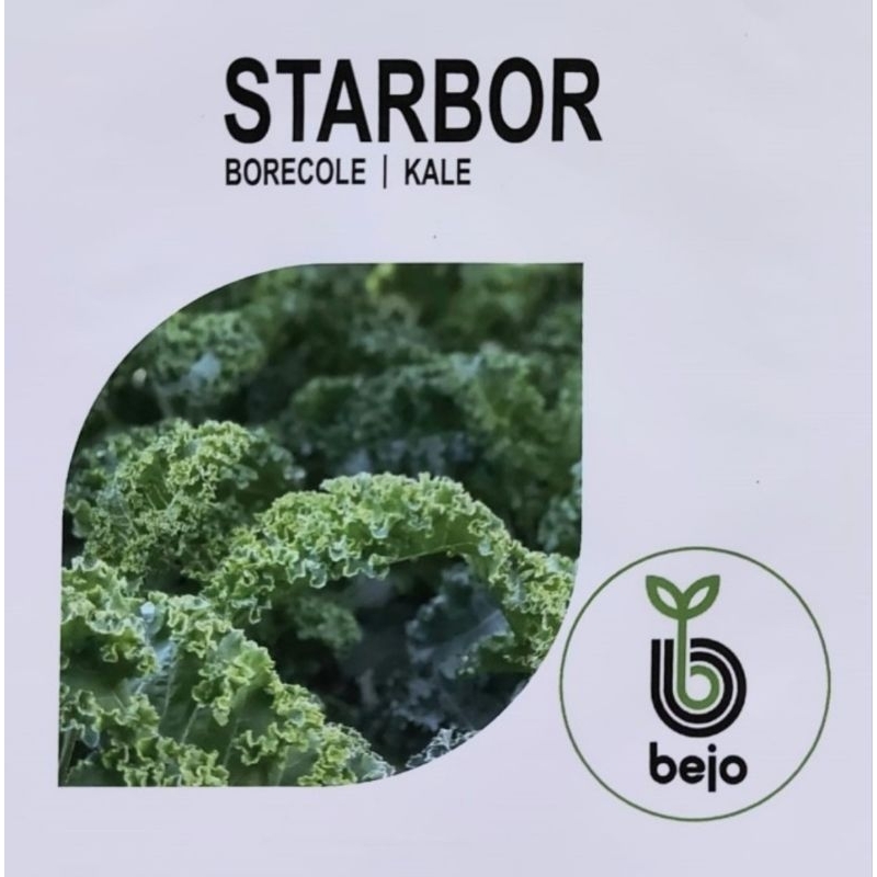 Kale Curly Starbor 2500 Seeds | Bejo Seed | Bibit Hidroponik