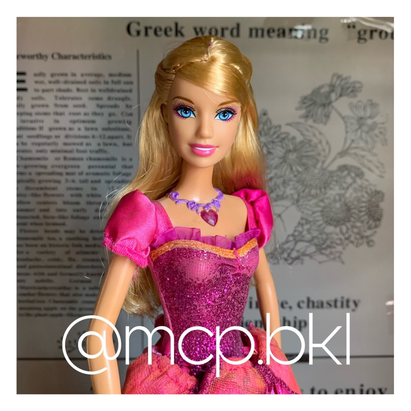 Barbie as Liana from Diamond Castle Movie Preloved