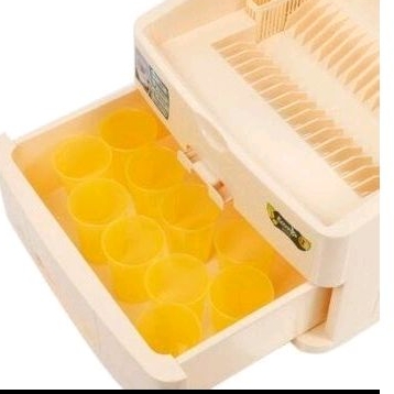 Rovega modys/ Rak piring rovega