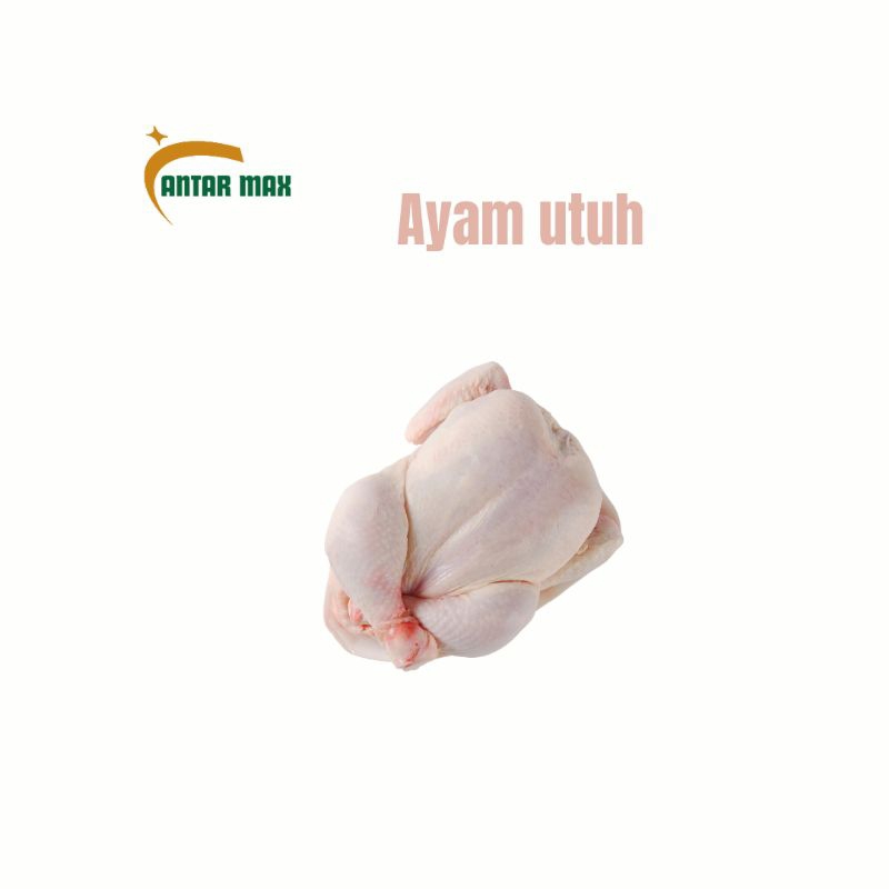 

ayam utuh 900g-1,1kg