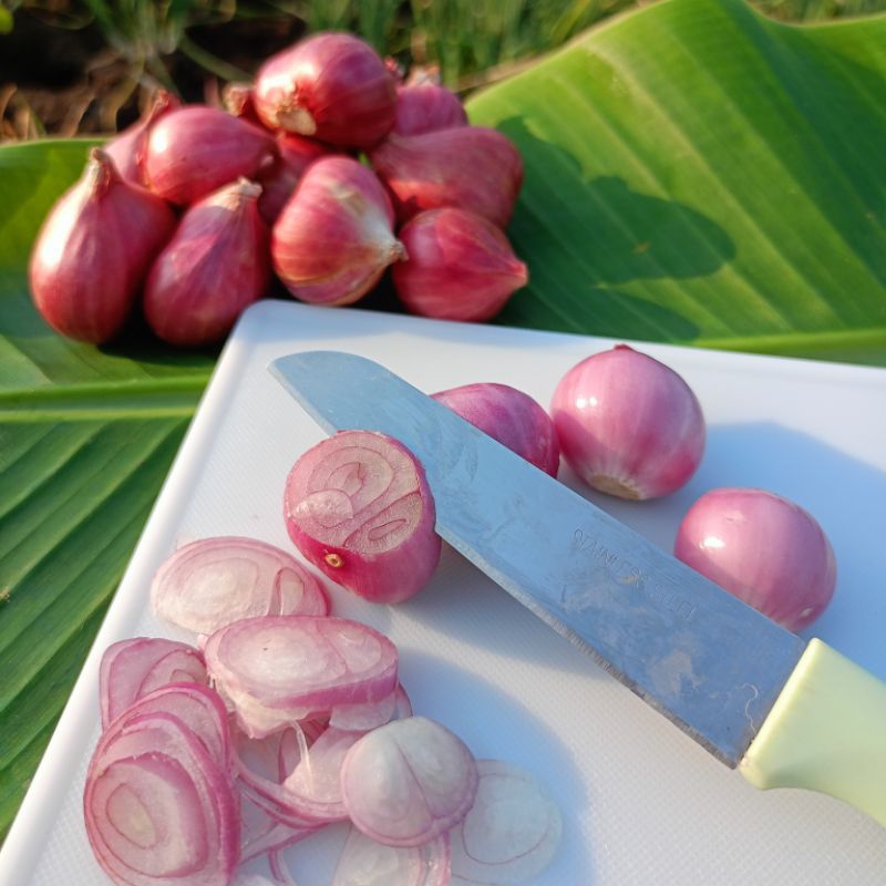 

bawang merah probolinggo 500 gram campuran besar kecil kering murah