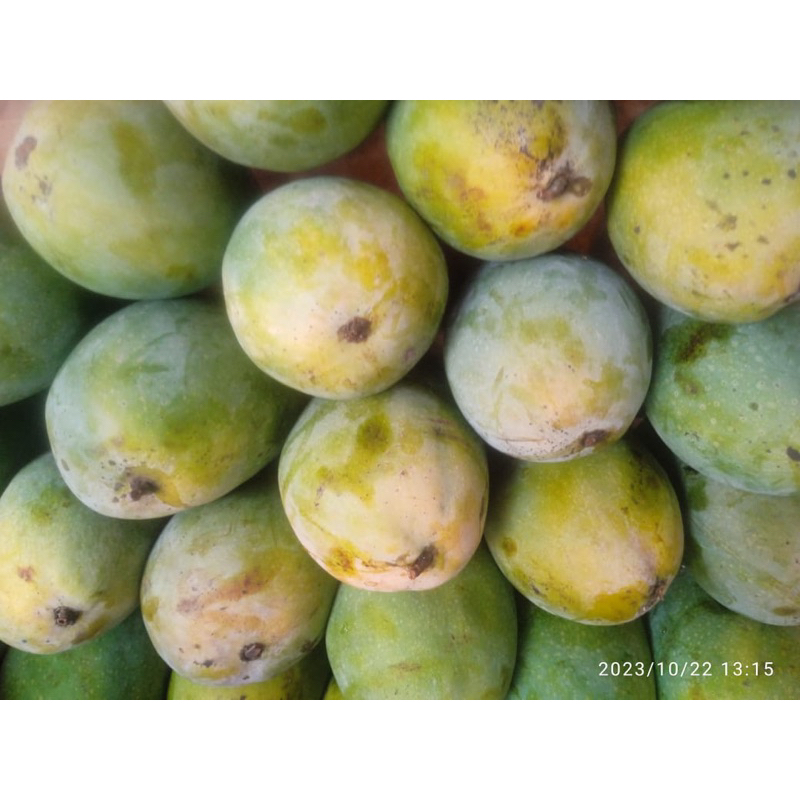 

MANGGA ALPUKAT 1kg