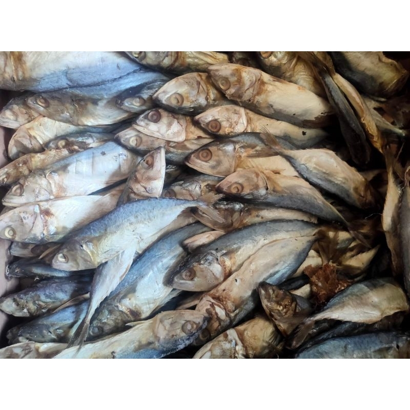 

ikan pedo kering