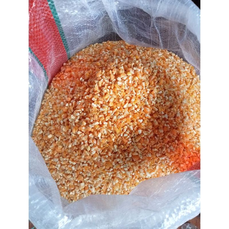 

1 kg Biji Jagung pecah bersih