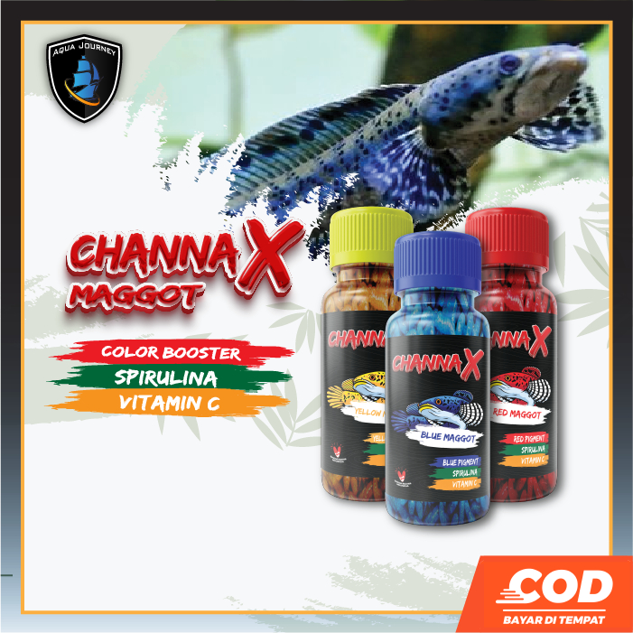 Maggot Channa Color Booster Pakan Channa Premium Red Blue Yellow Carophyll