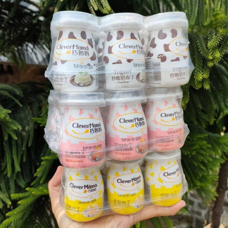 

CLEVER MAMA CleverMama Pudding Milk Puding Aneka Rasa 70g / 85g