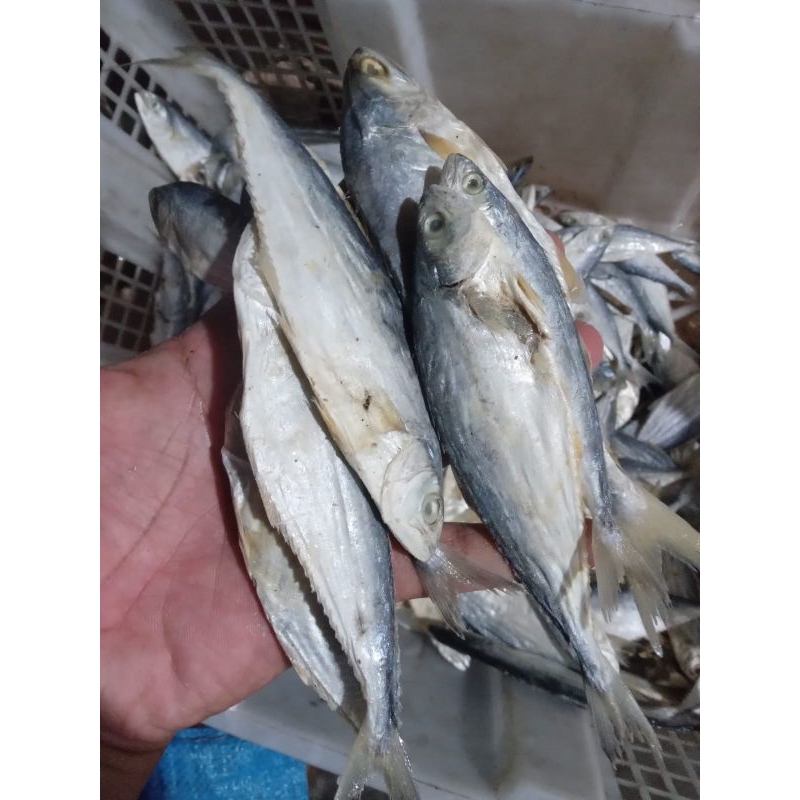 

ikan asin wais tengiri talang murah 100 gram