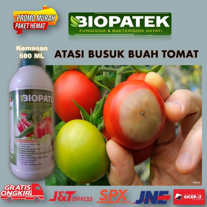 Terbaru BIOPATEK Fungisida & Bakterisida Hayati Pupuk Paling Ampuh Atasi Busuk Tanaman Tomat – Obat 