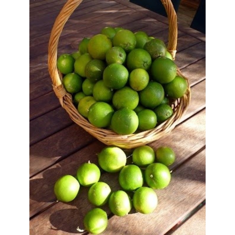 

Jeruk Nipis 500 gram