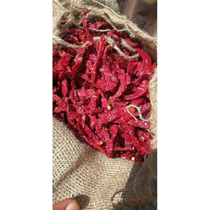 Cabe kering keriting india harga karungan 10kg