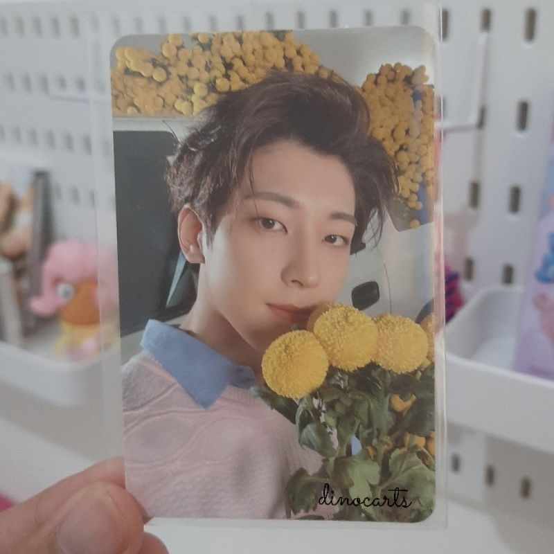 [READ DESC] PHOTOCARD SEVENTEEN WONWOO WONU YOUR CHOICE YOCO BUNGA TAKE ALL