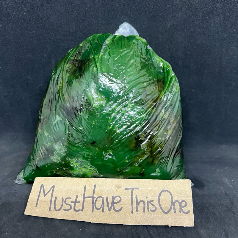 TUI stempet grease gemuk kiloan kg 1kg 1 kg 1 kilo stempet -+1kg