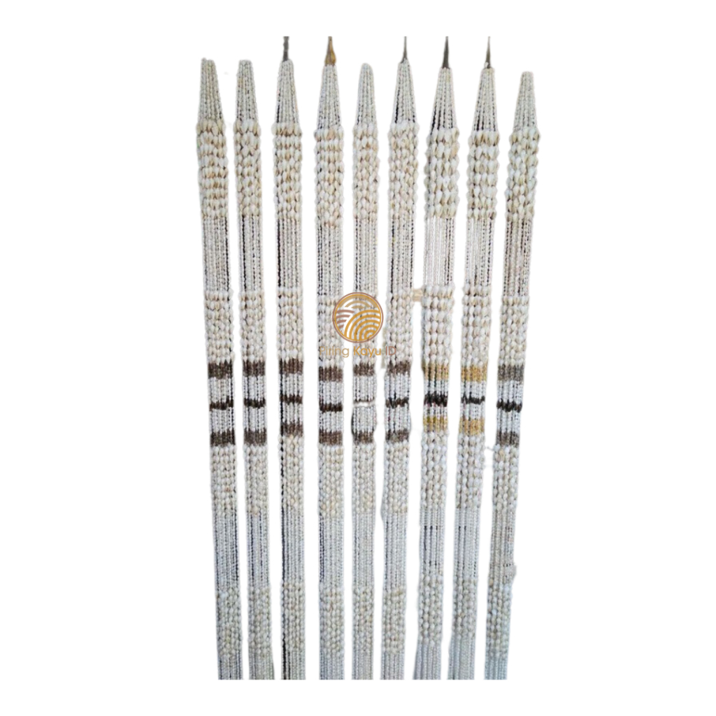 TIRAI KERANG LAUT KERANG BULI