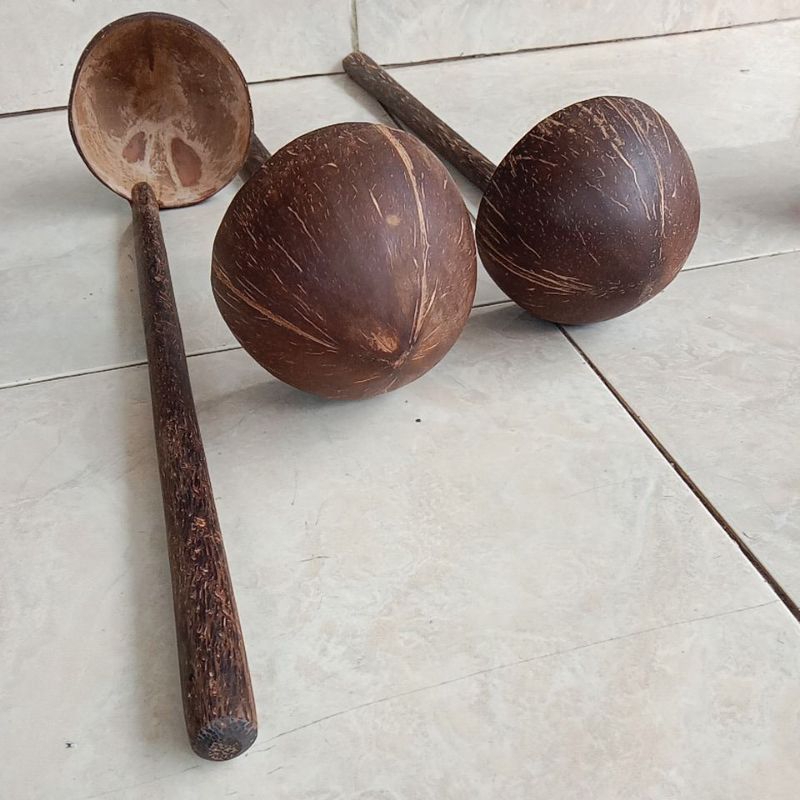 irus batok kelapa