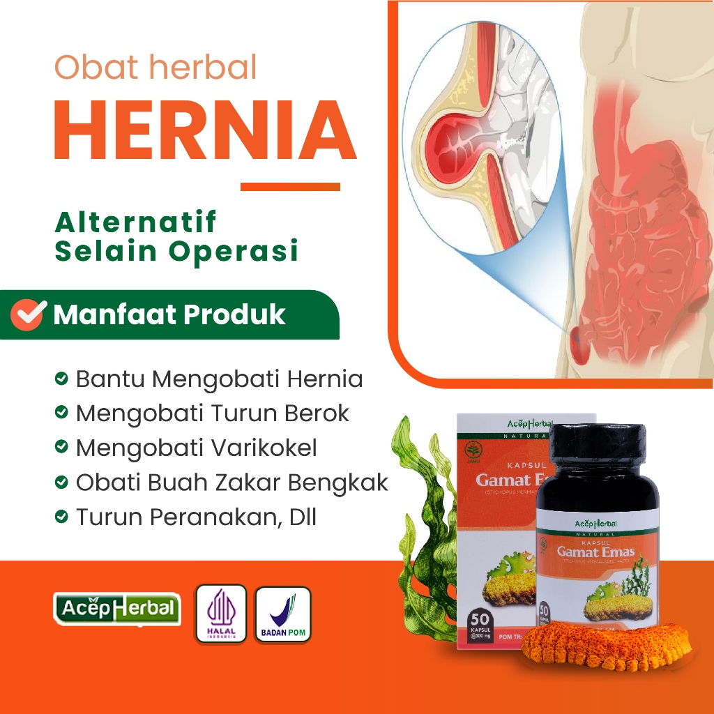 Obat Hernia Turun Berok Pria Turun Berok Dewasa Untuk Turun Peranakan Wanita Aman Tanpa Efeksamping 