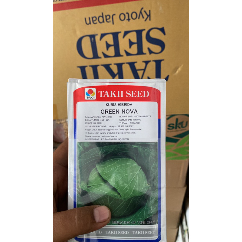 benih kobis green nova (20gram)